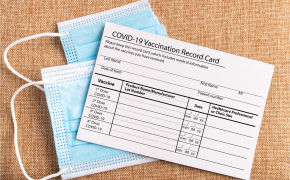 COVID 19 Vaccination Card and Mask default thumbnail teaser thumbnail teaser 15913
