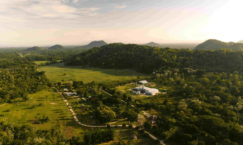 Successful Launch of Industry-Leading Carbon-Negative Spirit
