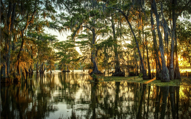 Defeating Class Certification in Odor Nuisance Suit